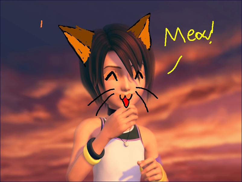 kittykairi.jpg