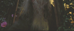 samfotr4.gif